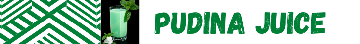 Pudina Juice