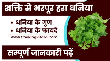 धनिया – Coriander in Hindi धनिया – Coriander in Hindi