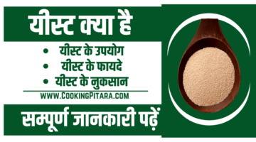 Yeast Meaning In Hindi – यीस्ट क्या है Yeast Meaning In Hindi – यीस्ट क्या है