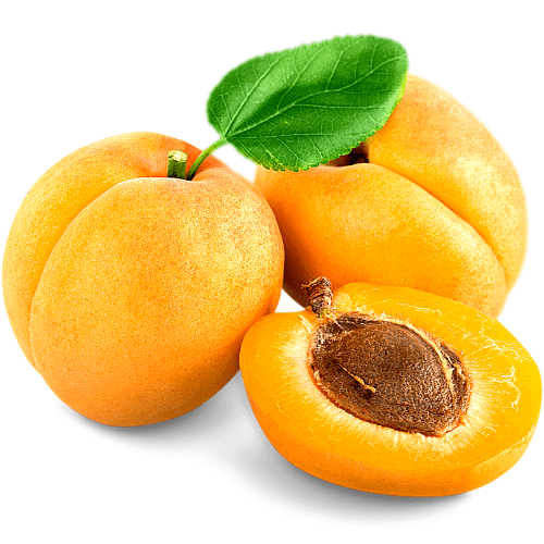 apricot meaning in hindi